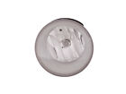 334-2018n-aq Depo Dodge Durango Fog Light Lamp With Bulb