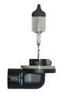 Bp898 898 Hella Fog Light Bulb