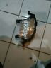 92208-c1 Hyundai Sonata Led Daytime Running Fog Light Right Side Oem
