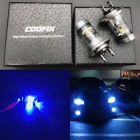 Coofix-h7-d-001 Coofix New Deep Blue High Power Cree Led Fog Lights