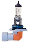 H83120001 Hella Fog Light Bulb 760687783312