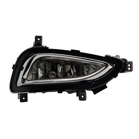 922023v010 New Passenger Side Fog Light Assembly Hy2593155 Oe