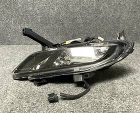 199.725-02 Nissan 2016-2018 Maxima Right Passenger Side Fog Light Lamp