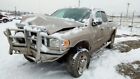 116.ch8704 Ram2500 2004 Front Lamp 5031670