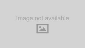 Suasce21-95-1 Sherman Parts Lt Front Bumper Insert Fog Lamp Bezel For With Lamps Subaru Ascent 1922