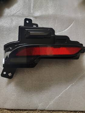 1979444-10-d Tesla My Juniper Foglight 2025 Lh #1