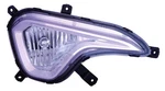 Depo Fog Light Assembly For 2013-2016 Hyundai Santa Fe 321-2031R-AC. Fixed Price $135.85.