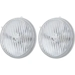 1987-93 Ford Mustang; Gt; Fog Lamp Lenses; With Bulbs. Fixed Price $59.99.