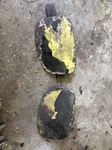 Porsche 911 / 912 Fog Light Opening Cover (front Right) Dansk Used. Fixed Price $150.00.