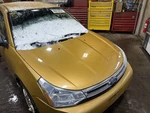 Hood Ford Focus 08 09 10 11. Fixed Price $155.00.
