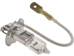 Front Api Protune Fog Light Bulb Fits Ford Thunderbird 1988-1989 12WRPT. Fixed Price $20.97.