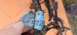 1992 Ford Mustang Hatchback Gt Lamp Wiring Harness Oem Take Off. Fixed Price $75.00.