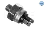 Meyle Brake Light Switch For Audi 100 80 Porsche 911 Vw Beetle 54-94 113945515H. Fixed Price $8.39.