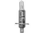 For 1994-1996 Ferrari F355 Berlinetta Fog Light Bulb Front Hella 38869BSHW 1995. Fixed Price $16.42.