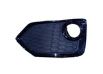 Sherman Parts Rh Front Bumper Insert Ex. Fixed Price $34.99.