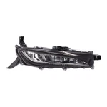 For Lexus RX350/RX350L 2020 2021 2022 Fog Light Passenger Side Capa With Bulbs. Fixed Price $283.23.
