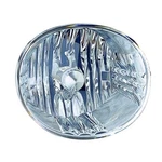Capa For 2005-2007 Avalon Front Right Fog Lights 81211-42061 TO2595102C. Fixed Price $117.95.