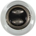 Rear Multi-purpose Light Bulb Fits 1994-2006 Mercedes-benz S500 BP17881. Fixed Price $30.99.