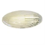 Lasalle Bris Clear Oval Porch Lens Only- GSAM4046. Fixed Price $9.49.