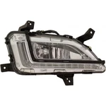 For Hyundai Tucson 2019 2020 2021 Fog Light Assembly Passenger Side Halogen. Fixed Price $282.94.