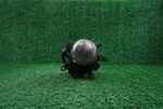 2002 2003 2004 2005 Bmw 330I Lower Light Oem E3456R A106. Fixed Price $47.79.