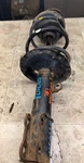 2000-2005 Toyota Celica Gts Driver Side Left Front Strut Spring Assembly. Fixed Price $55.00.
