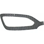 For Hyundai Santa Fe Fog Light Cover 2013 2014 Passenger Side Primed HY1039118. Fixed Price $42.30.