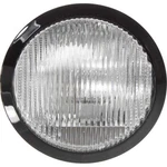 Fog Light Front Driver Side Halogen For 2004-2006 Nissan Maxima Se Sl. Fixed Price $42.28.