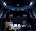Toyota 2024 Grand Highlander Rear Hatch Cargo Lamps Genuine Oem. Fixed Price $375.14.