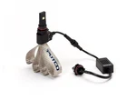 Putco 270P13-S Nite-lux Bulbs. Fixed Price $76.84.