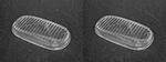 Set Of 2 Fog Light - (clear Lens) Front (left + Right) Hella For Porsche. Fixed Price $99.56.