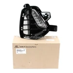 Genuine Drl Fog Lamp & Cover 2EA Right Passenger For Hyundai Elantra Gt 2018-20. Fixed Price $235.31.