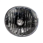 For Lexus ES330 2004-2006 Oem Fog Light Assembly Passenger Side Lens And Housing. Fixed Price $249.99.