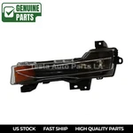 Oem Tesla Model Left Driver Fog Light Signature Lamp Assembly 1077391-00-F. Fixed Price $339.99.